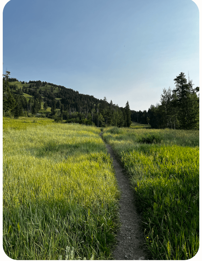 A narrow dirt trail running through a lush green grassy field, leading towards wooded hills under a clear blue sky.