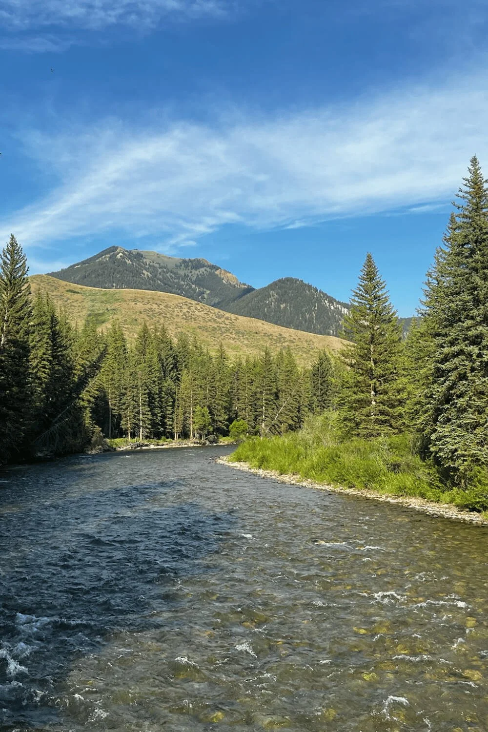 A scenic landscape with a river flowing through a forested area, surrounded by mountains under a blue sky with wispy clouds.