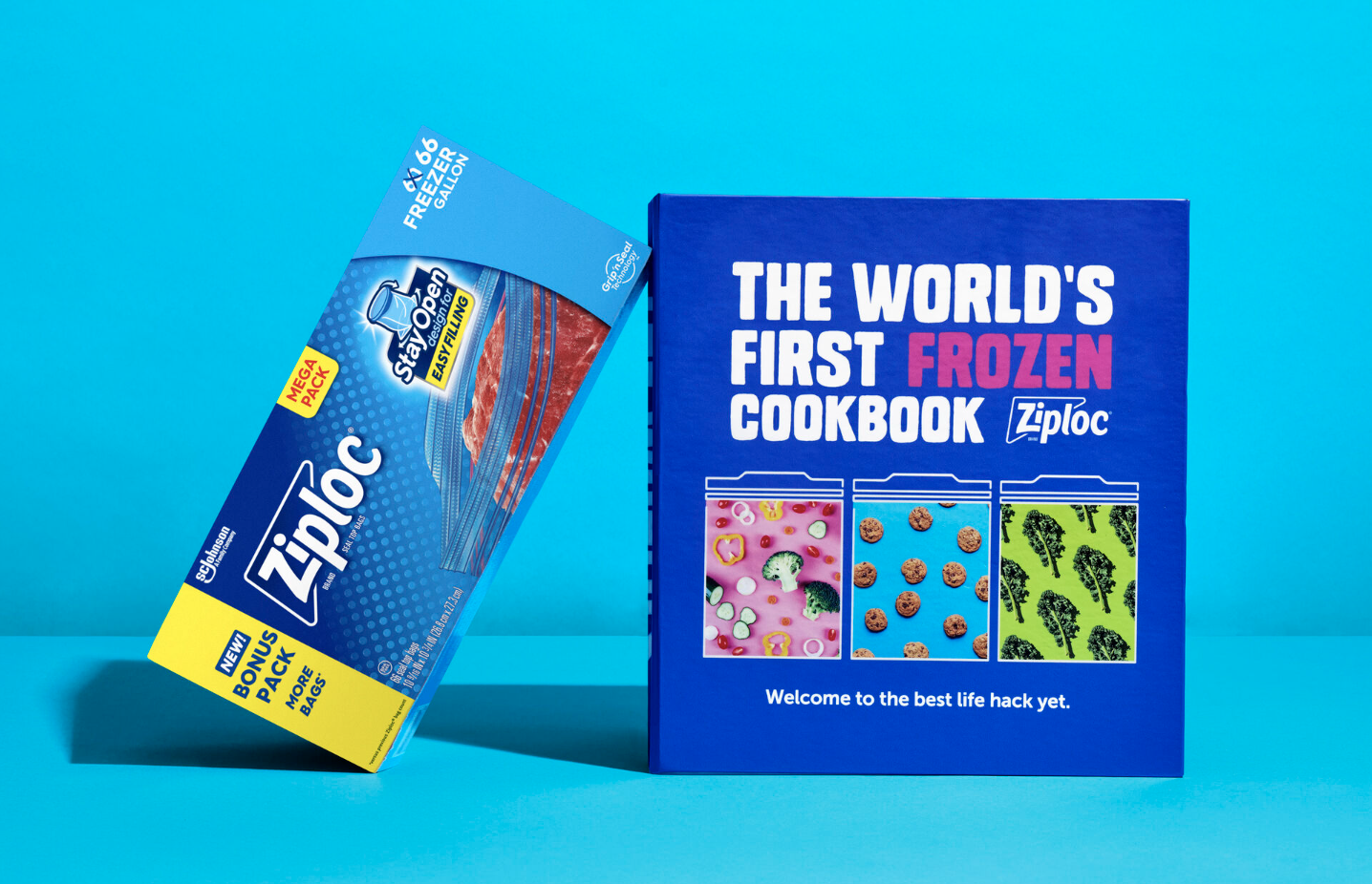 Ziploc Worlds First Frozen Cookbook