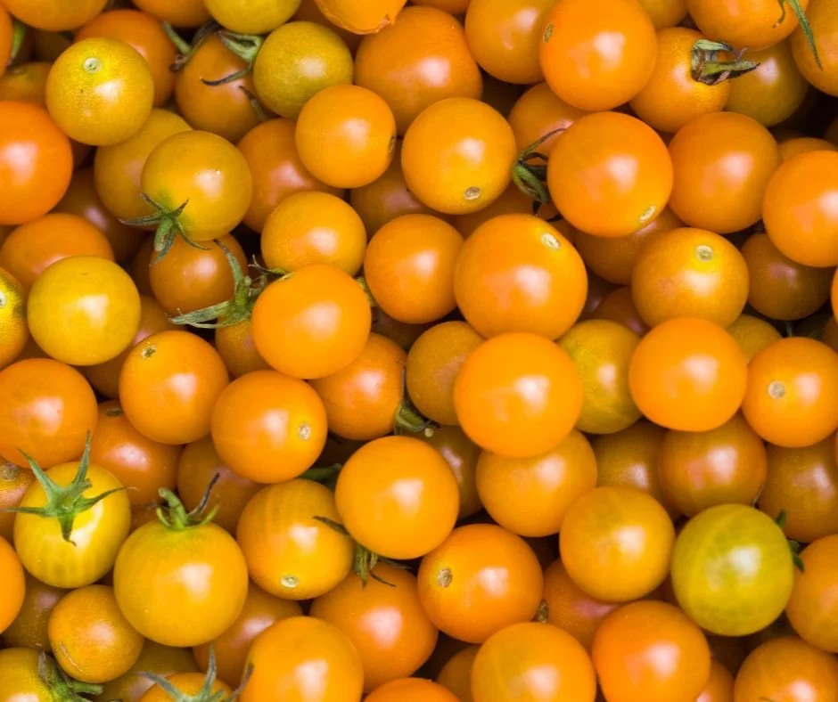 arcadios cherry tomatoes.jpg
