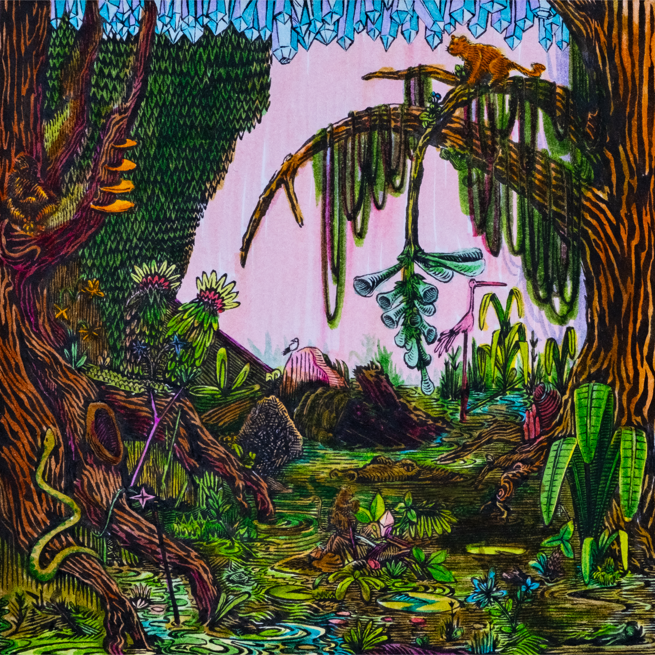 swamp drawing