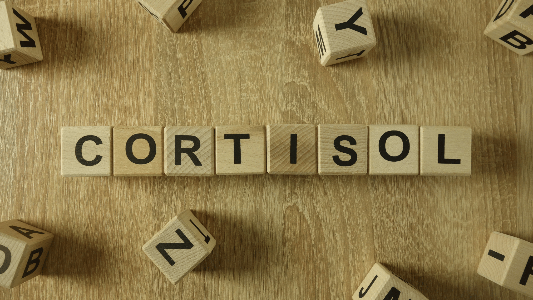 Cortisol and Menopause: What You Need to Know