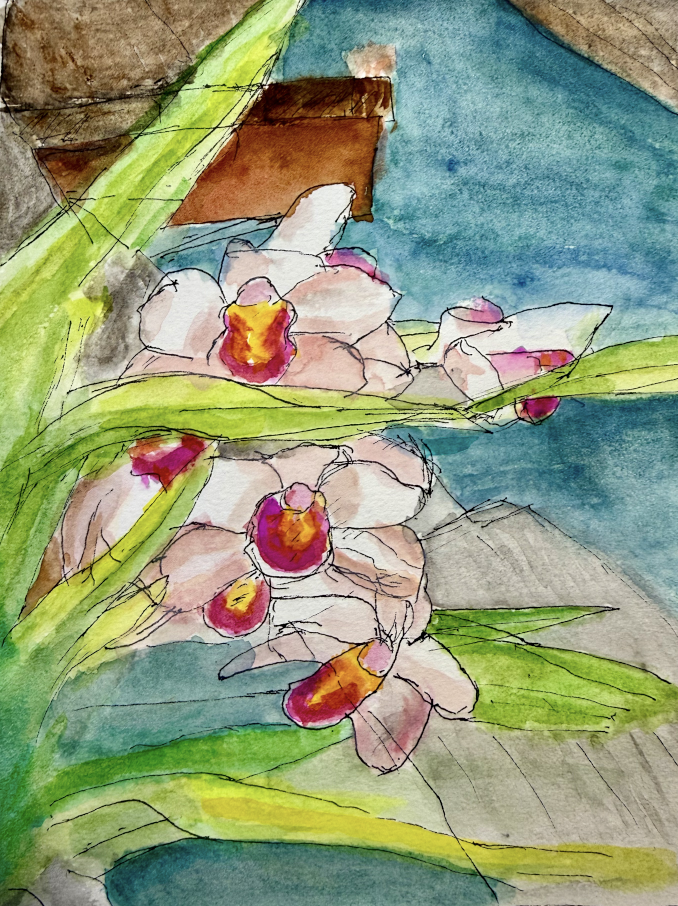 Orchid on a Dock, by Jeff Harris