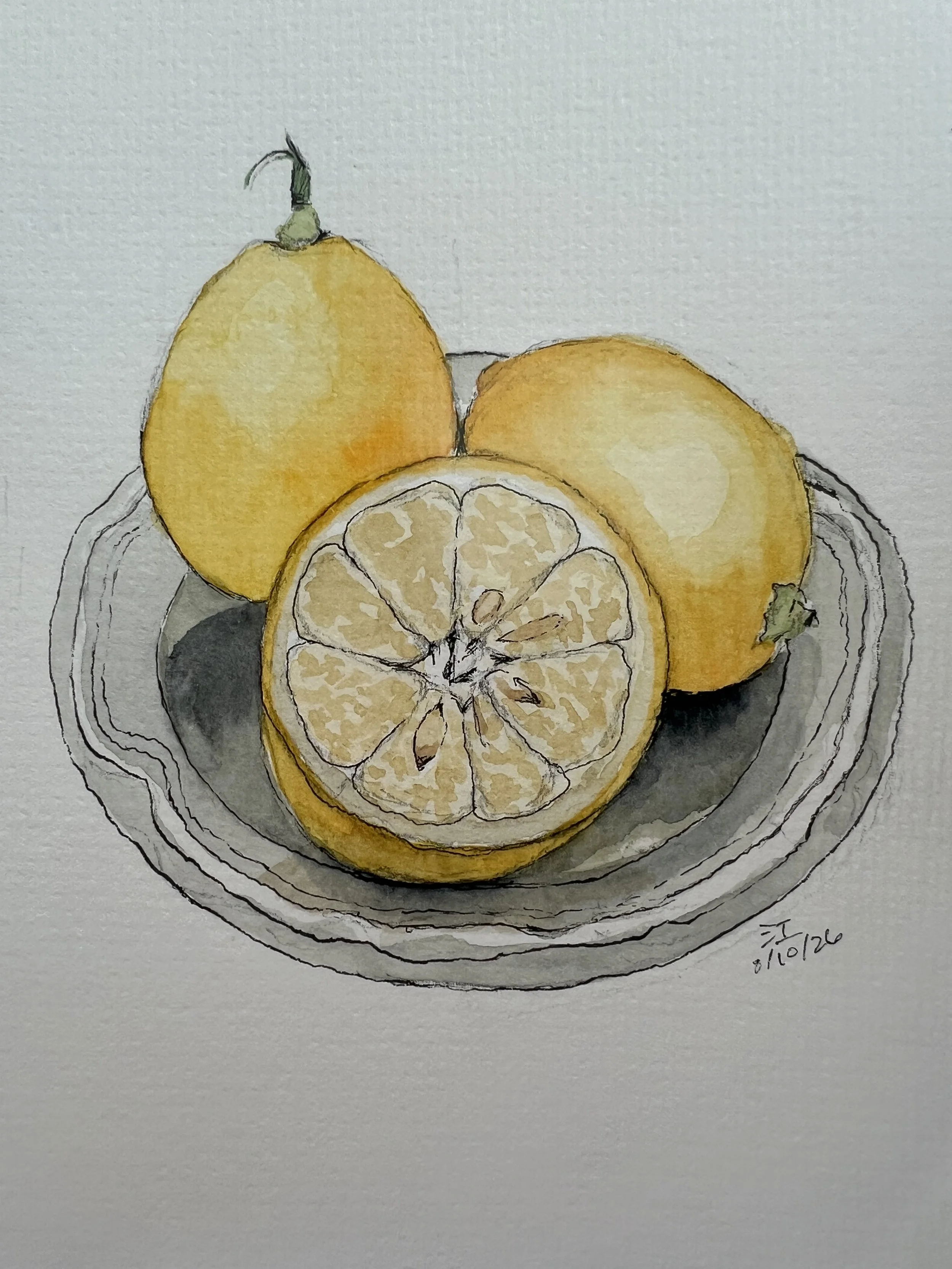 Lemons, by Megan Conley