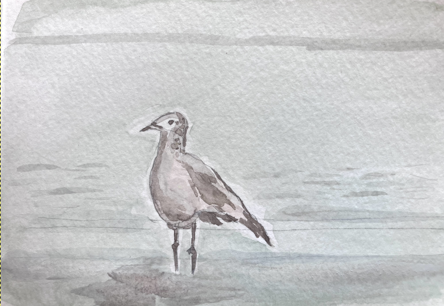 Seagull by Joanne Devereaux