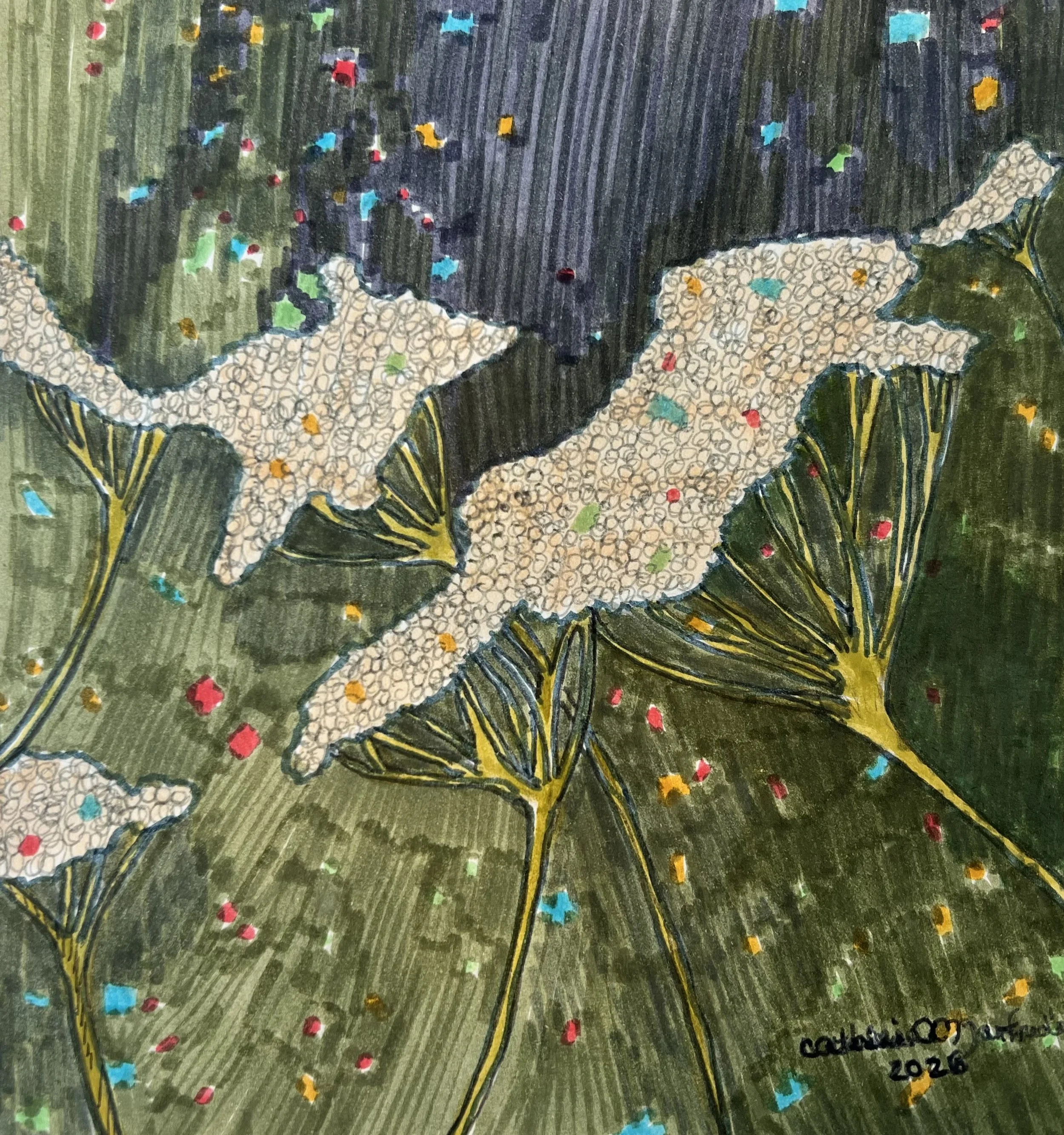 Queen Anne Lace by Catherine Cohen