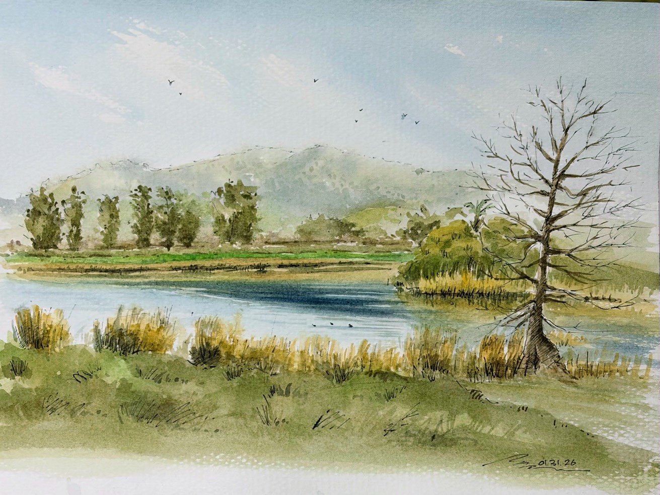 Las Gallinas Valley Birding Loop