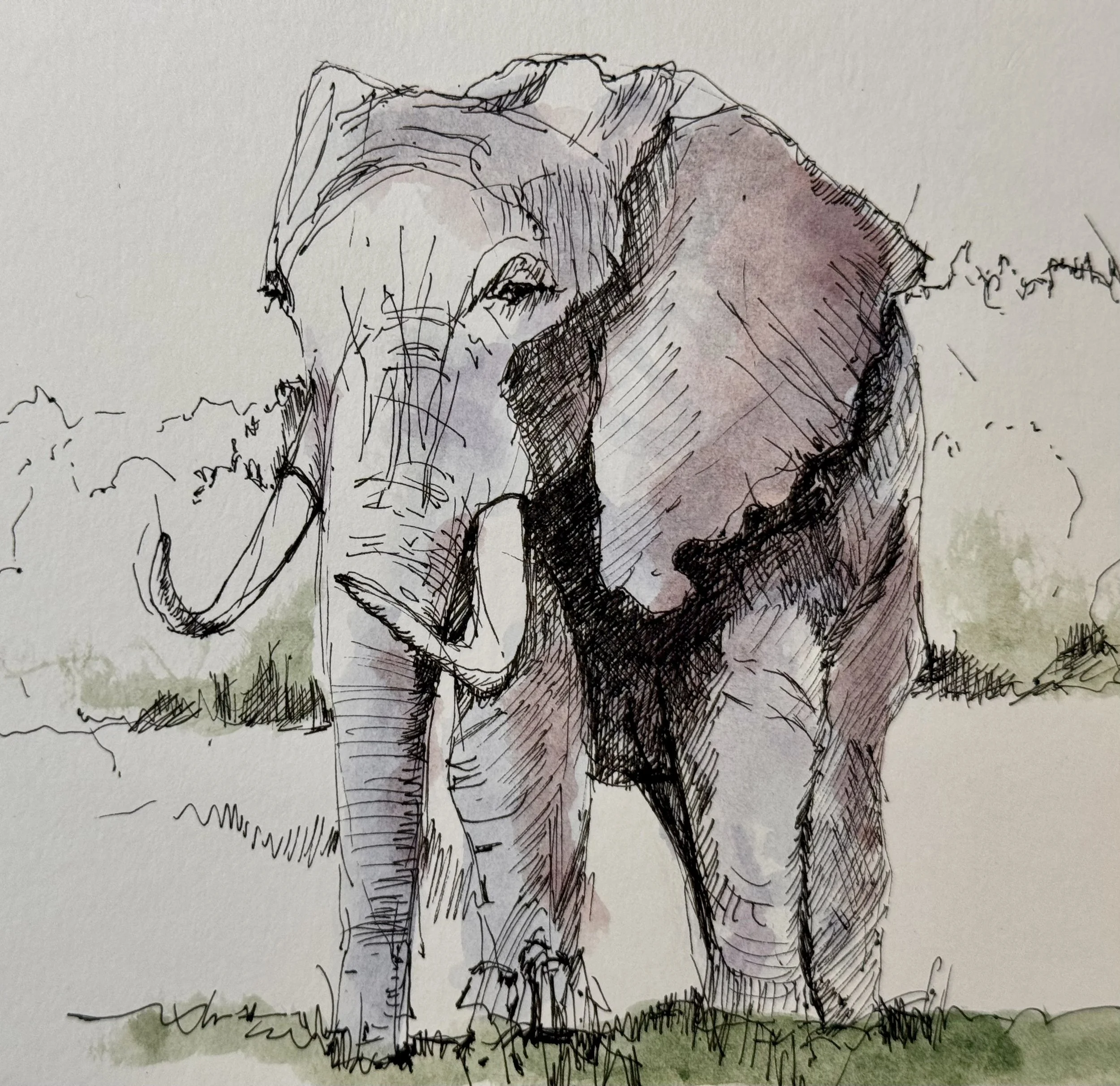 Elephant by Cheryl Lentini