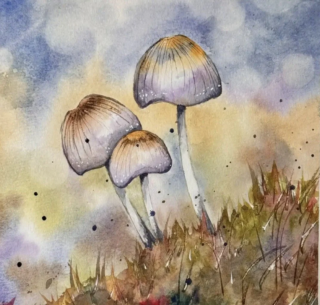 Mushrooms by Cheryl Lentini