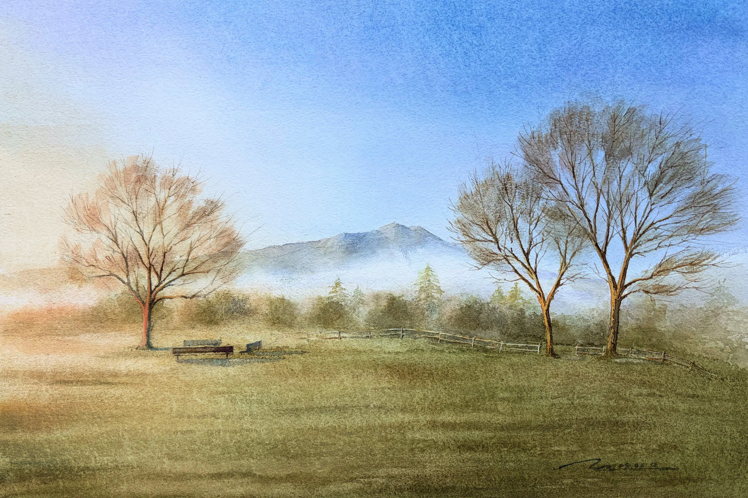Peaceful Bayfront Park, Mill Valley , Marin