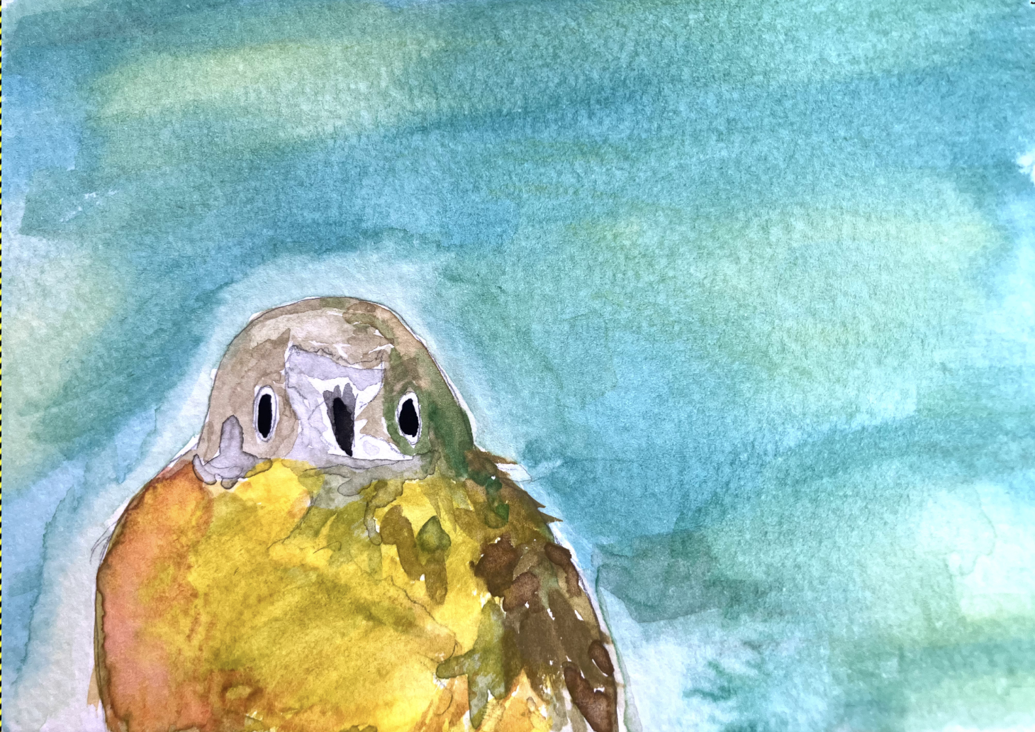 Bird by Joanne Devereaux