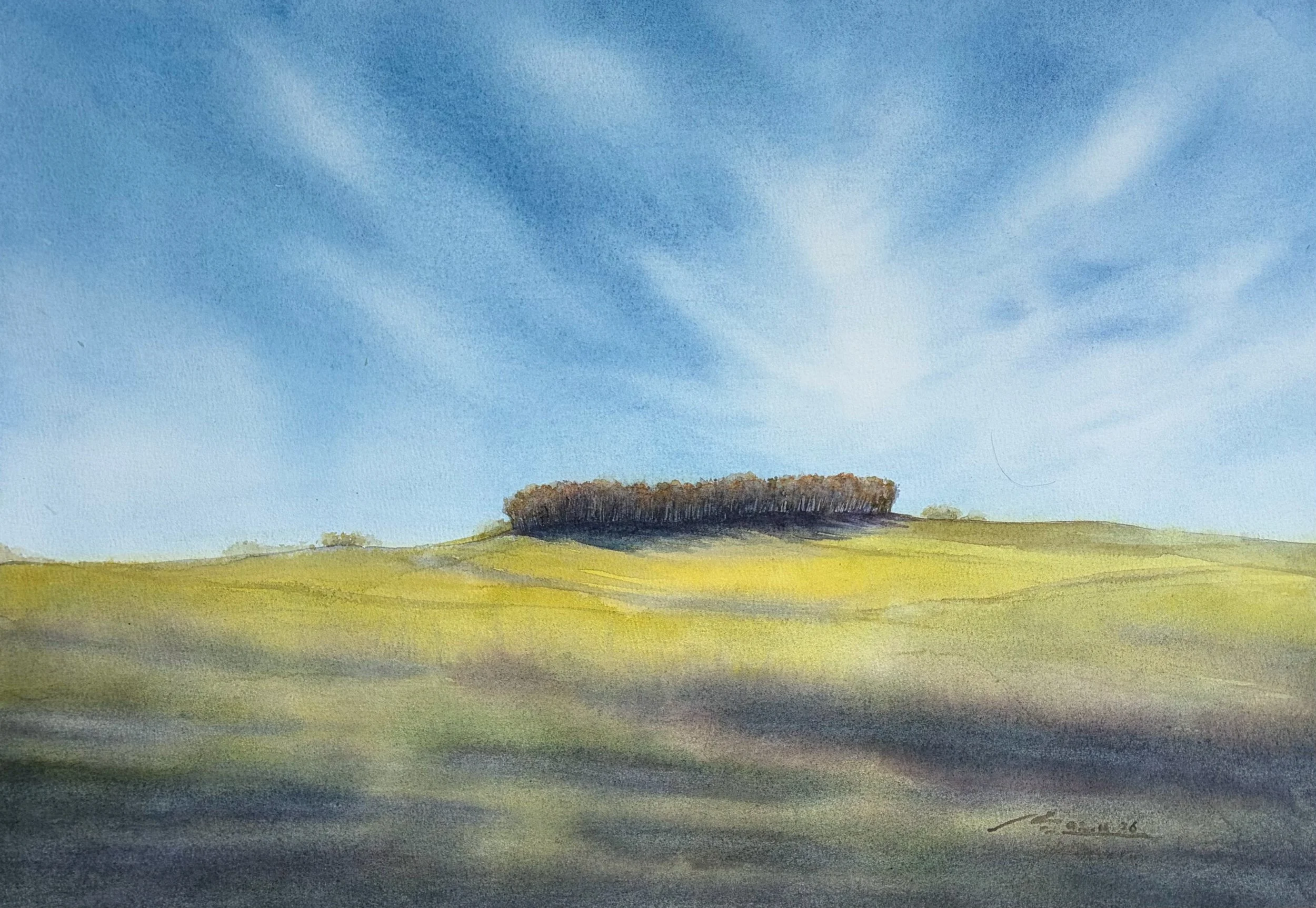 Roblar Valley, Marin