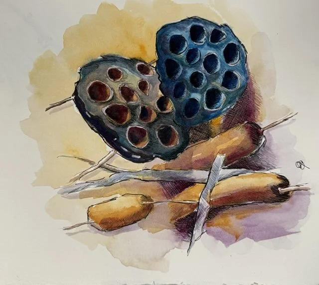 Seed Pods by Jeralyn Seiling