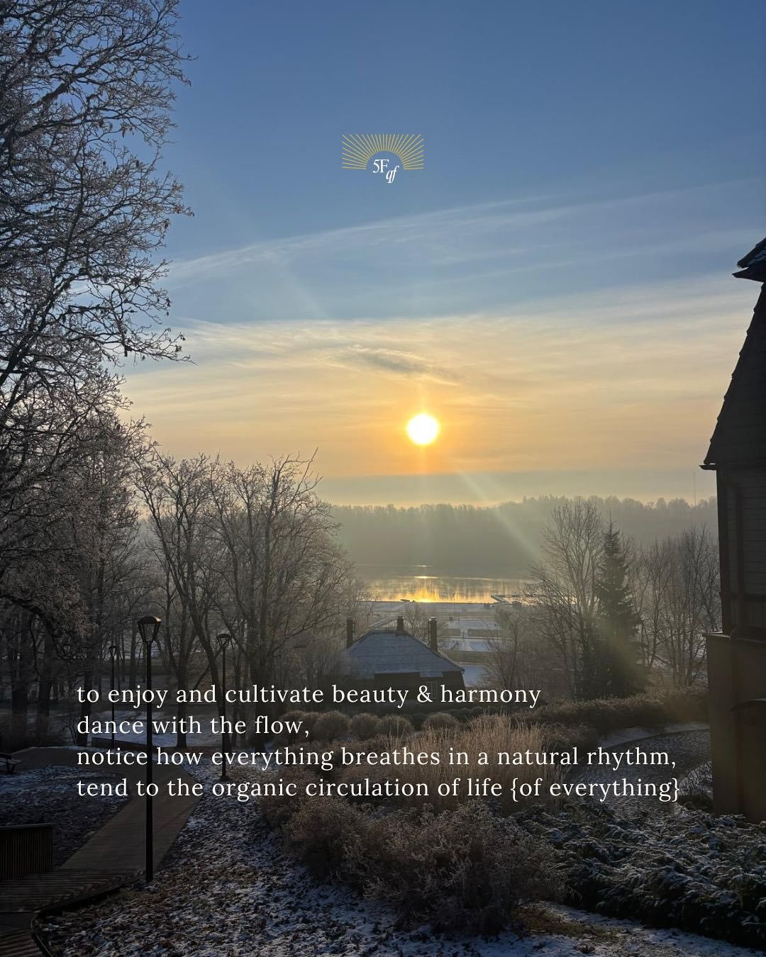 Beauty wants to flow freely 🤍
Harmony wants to self-organise 🌞

#venusian #nomad #wintertime #viljandi