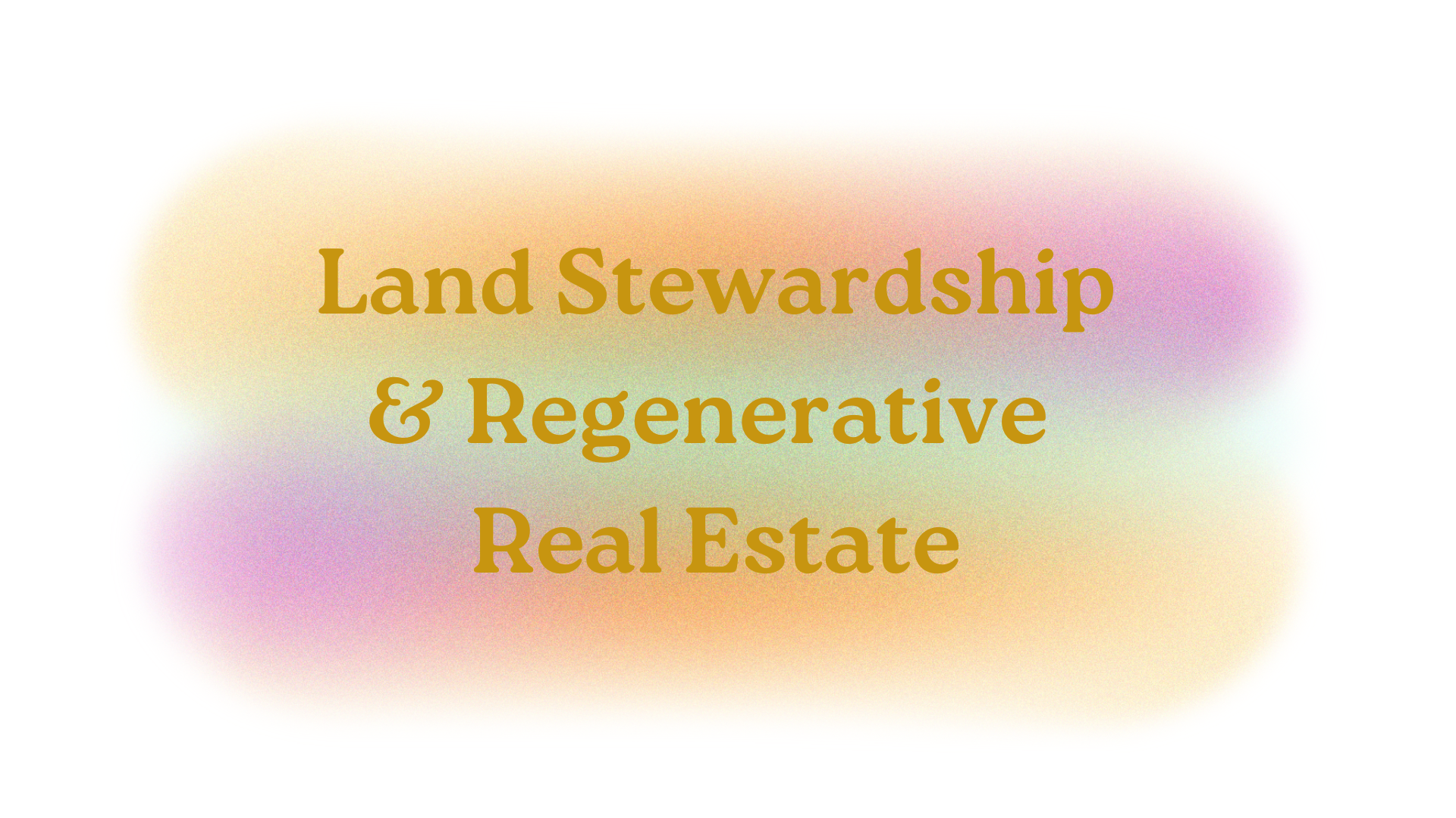 Regenerative Venture Studio-4.png