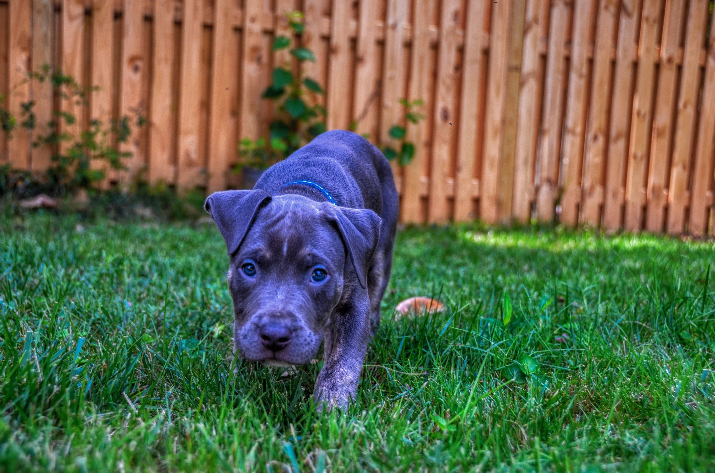 Remi_0209.jpg