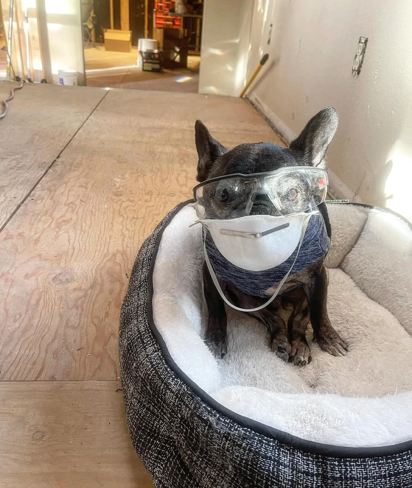 Little Lou is here to make sure our new windows get installed safely this weekend! 👷‍♂️ #safetyfirst
Here are 3️⃣ benefits of window replacement during your remodel:
1️⃣ Improved Energy Efficiency: New window technology can significantly reduc