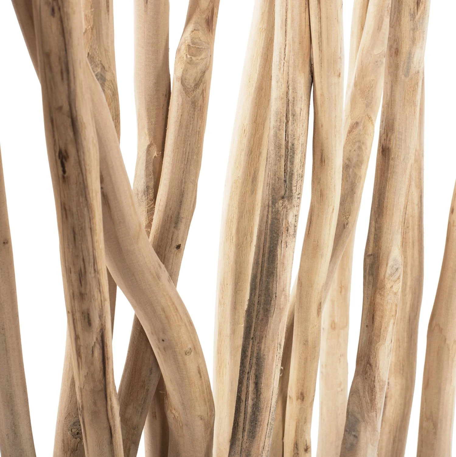 Teak Branches 2.jpg