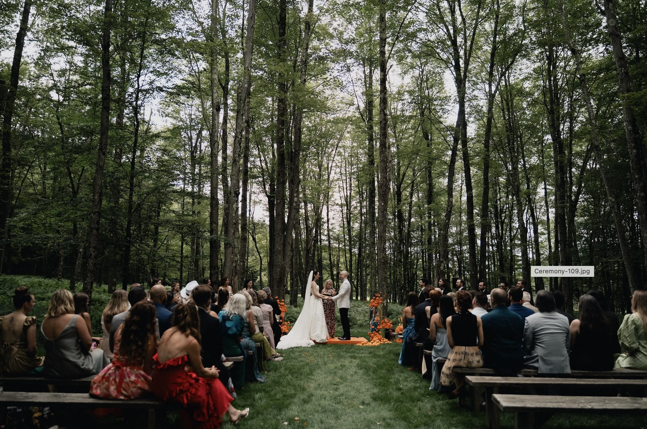 Nathan A. Bauman Photography