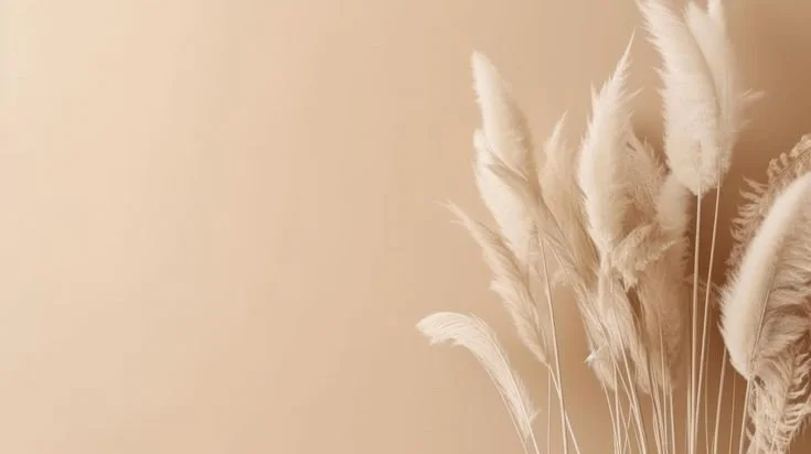 Electrolysis vs. Laser: What’s the Difference and Which Is Right for You?
