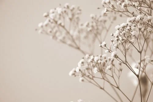 Hormonal Imbalances: Why Untreated Issues Can Mean New Hair Growth Even With Electrolysis