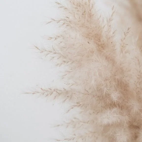 Cancellation and Rescheduling Policy: Why I Use It (and Why Loyal Clients Don’t Need to Worry)