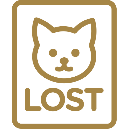 lost pet flyer icon