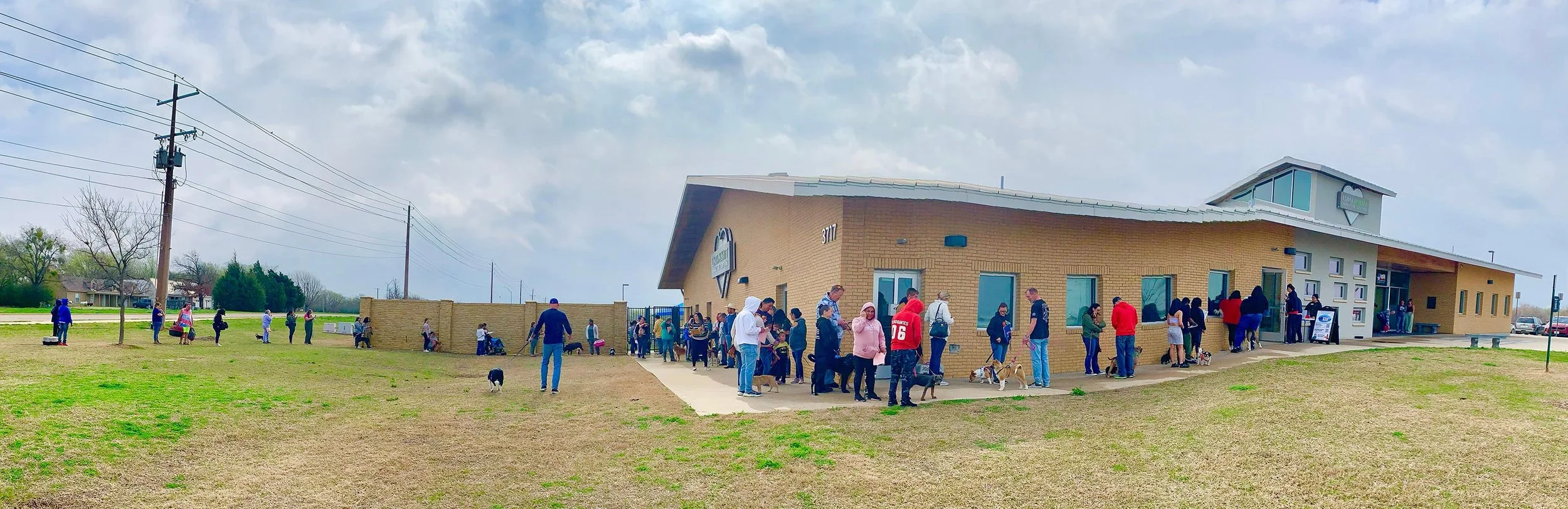 Free Rabies & Low-Cost Vaccine Clinics — Denton Animal Support Foundation