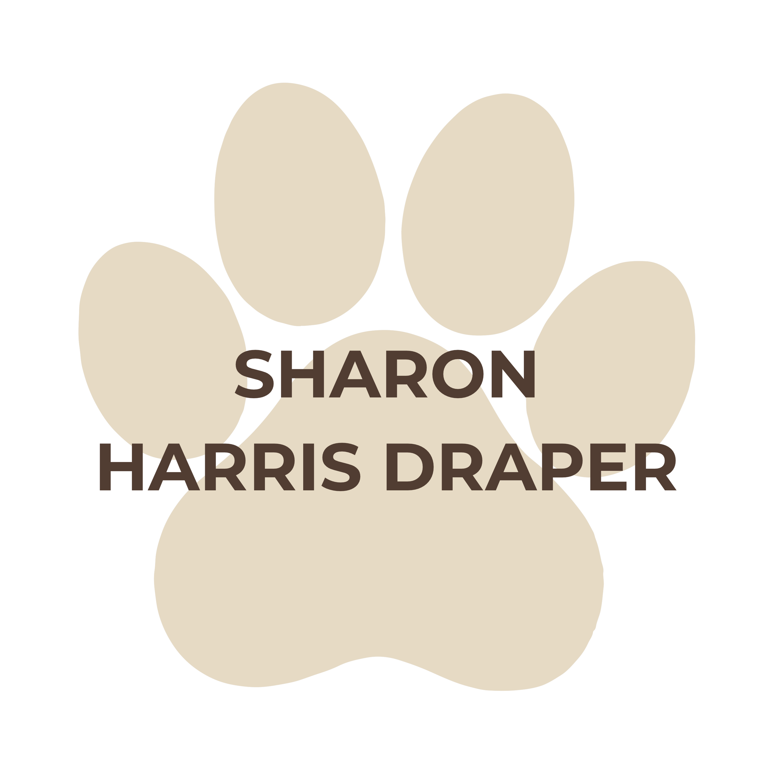 DASF Logo & Donation QR Code (12).png