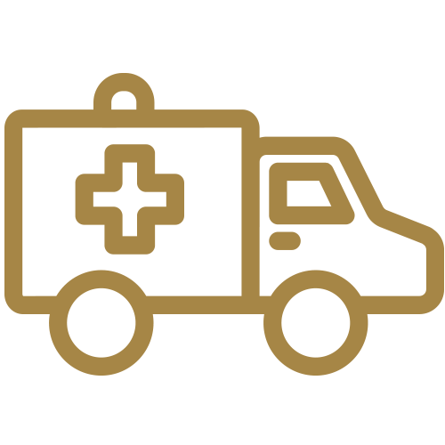 ambulance icon