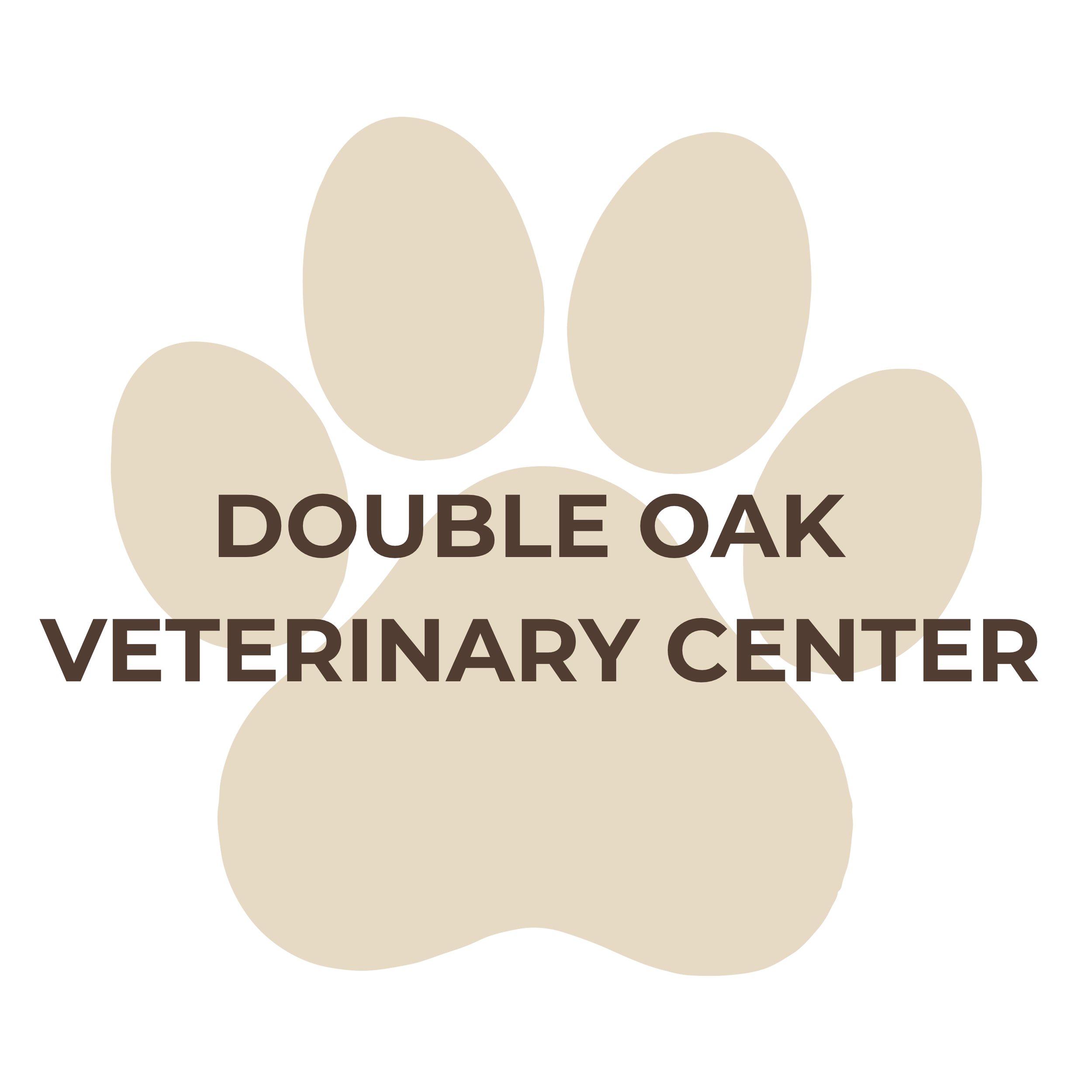 DASF Logo & Donation QR Code (8).png