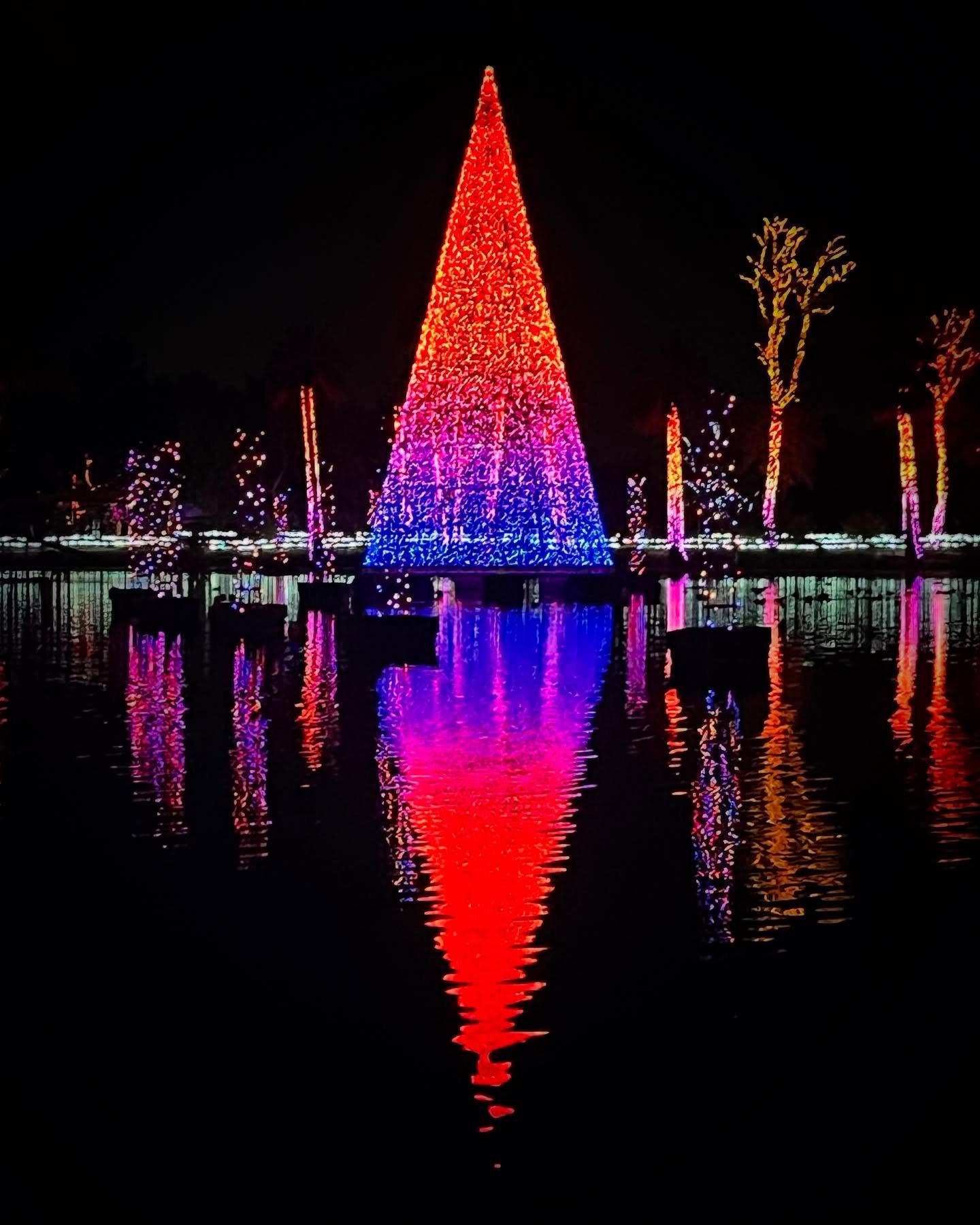 Enjoying ZooLights at the Phoenix Zoo with the family after a joyous Christmas holiday.  I hope your holiday season and New Year are wonderful.
