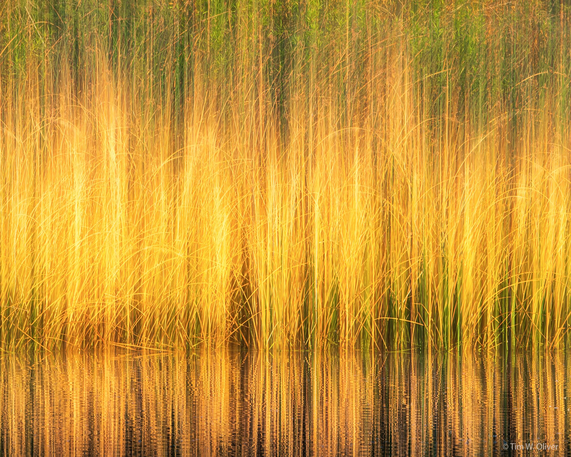 nature-08.jpg