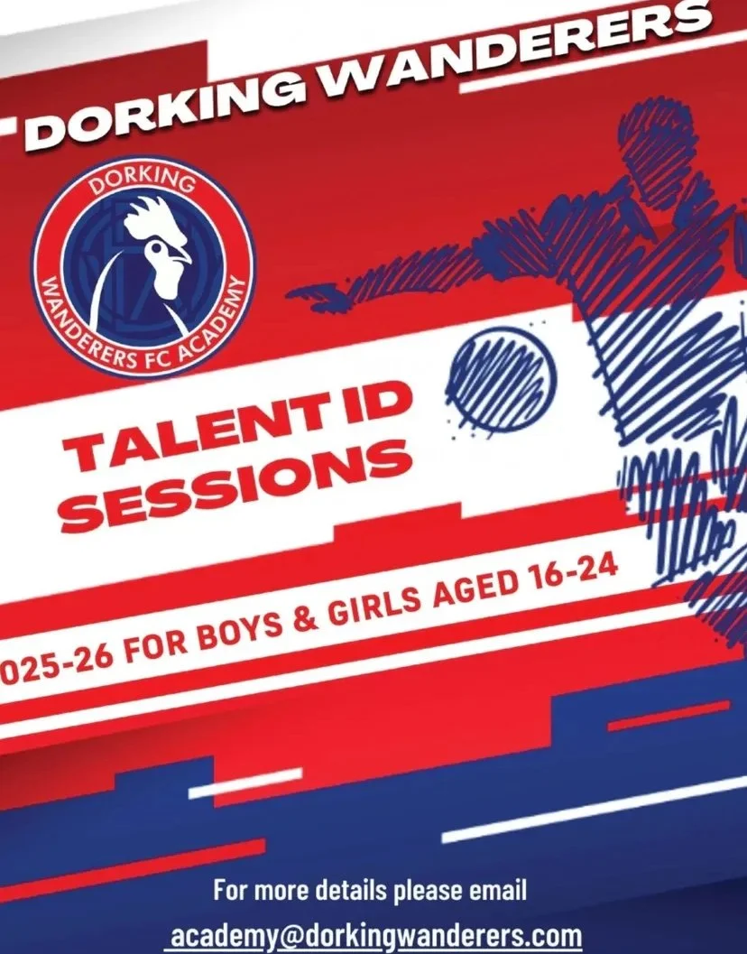 Dorking Wanderers Academy
