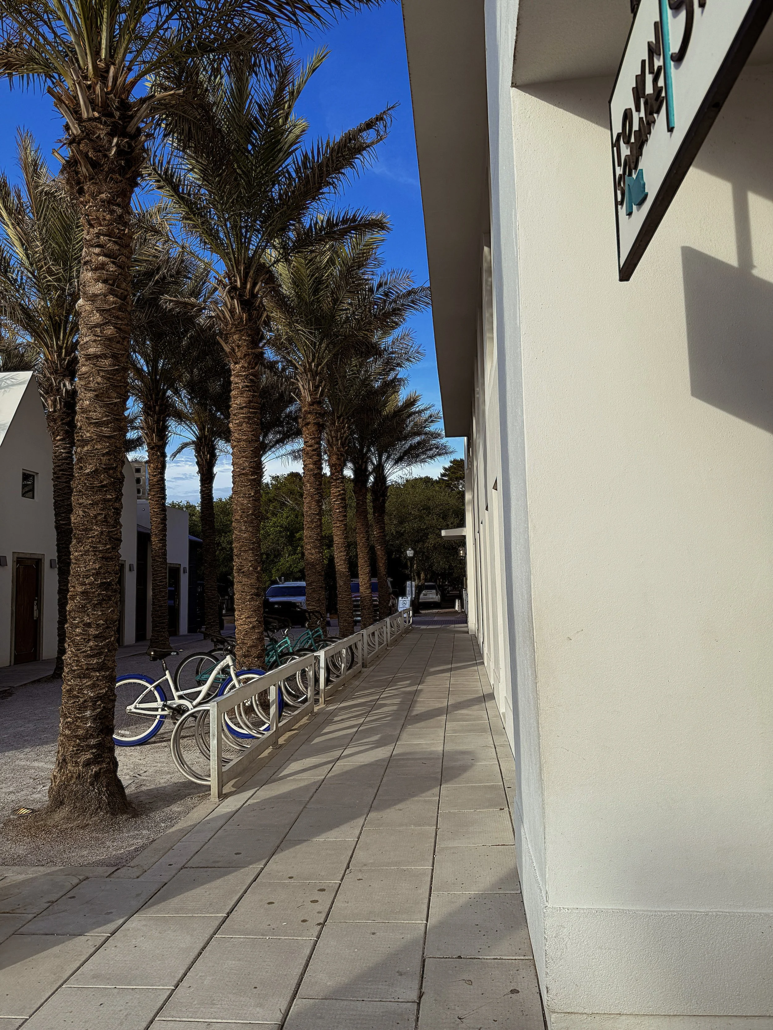 A Prayer for a Heart of Praise While Waiting 