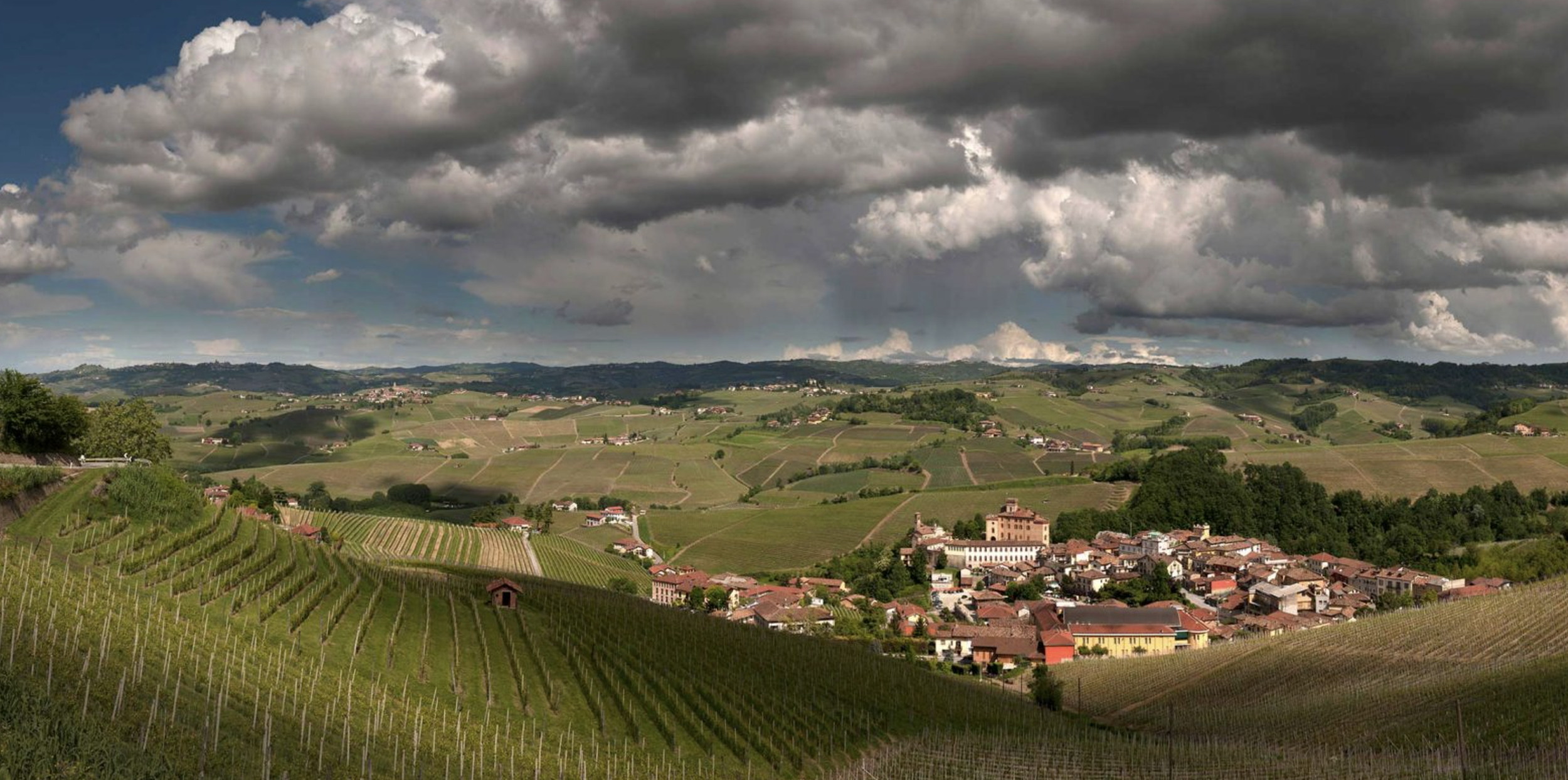 Barolo: Welcome to My Hills