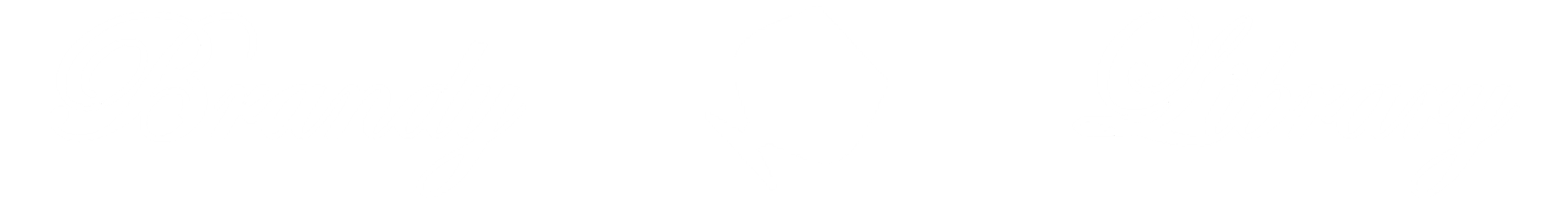 Text reading 'Brandy Library' with a stylized bottle in between.