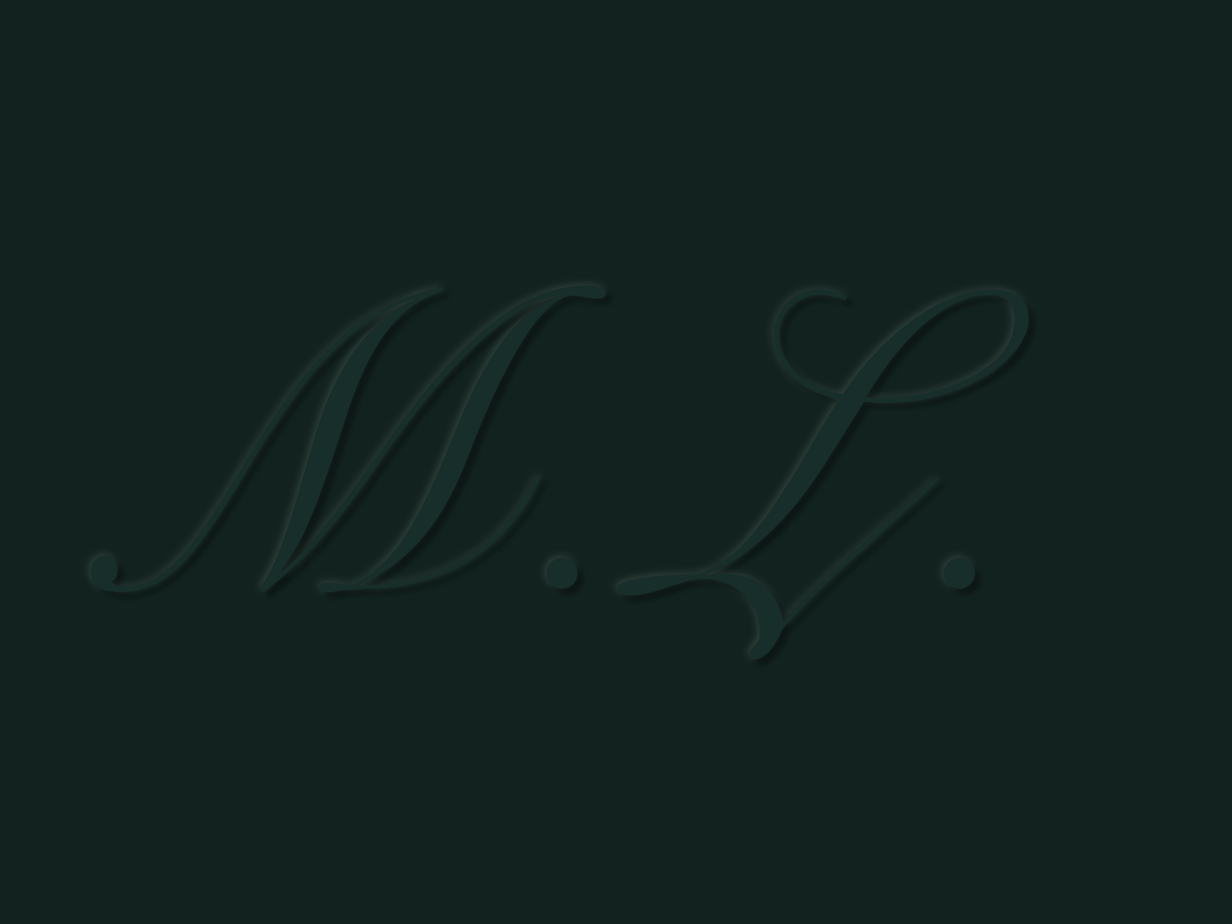 Signature or logo with cursive initials 'W. L.' on a dark background.