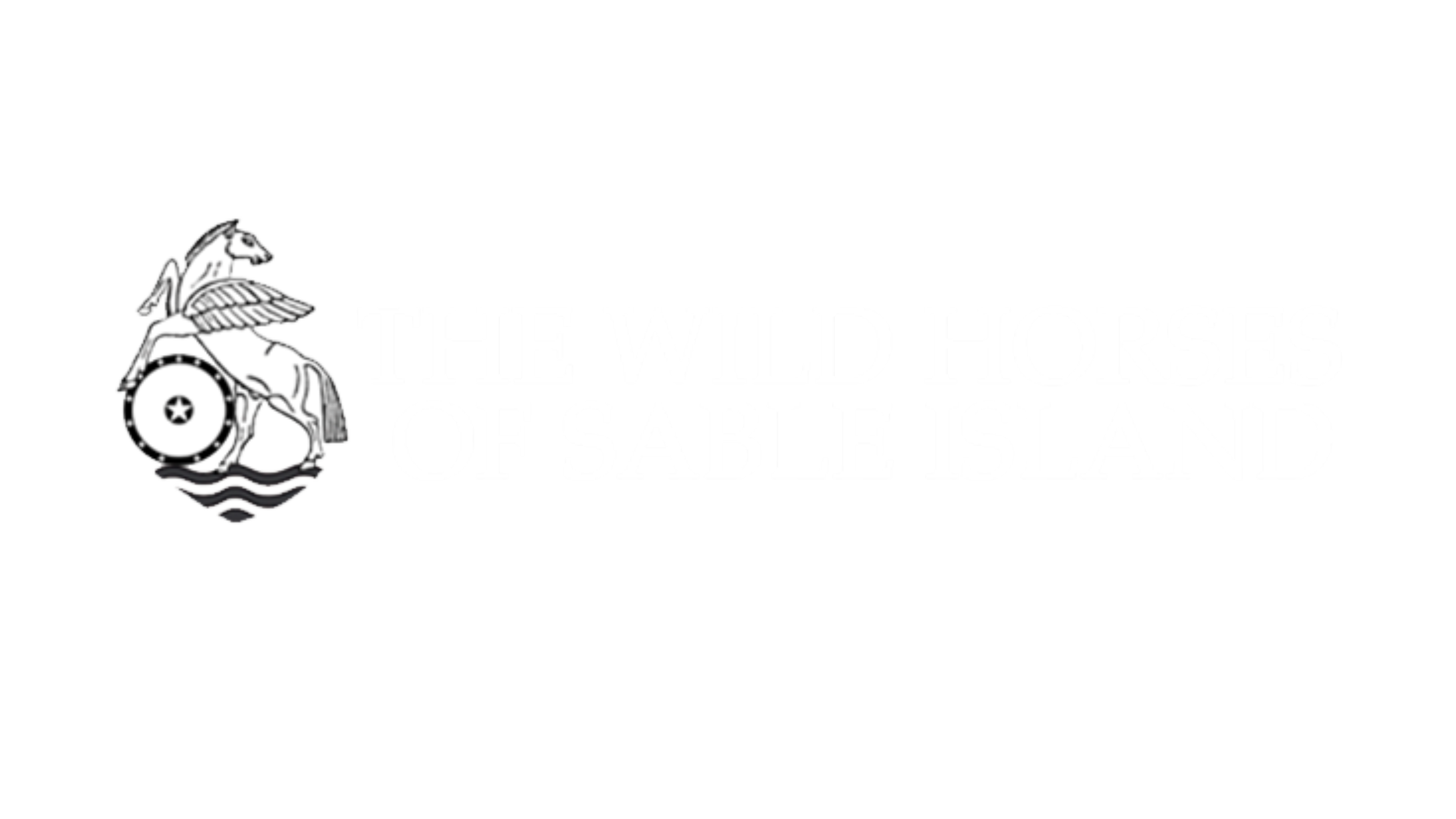 Logo of the Thalassors of Baler Island featuring a knight holding a round shield with a star in the center, wearing chainmail and a helmet with a coin and wave motifs. The text reads 'Thalassors of Baler Island'.