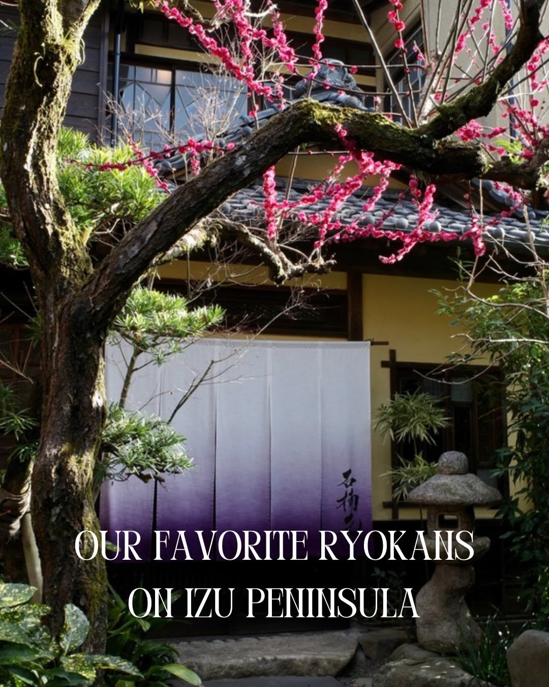 Izu Peninsula is home to some of Japan&rsquo;s most extraordinary ryokans. Ancient hot springs, centuries of history, and hospitality that stays with you long after you leave. Also super close to Tokyo with exceptional views of Mt Fuji, making it a g