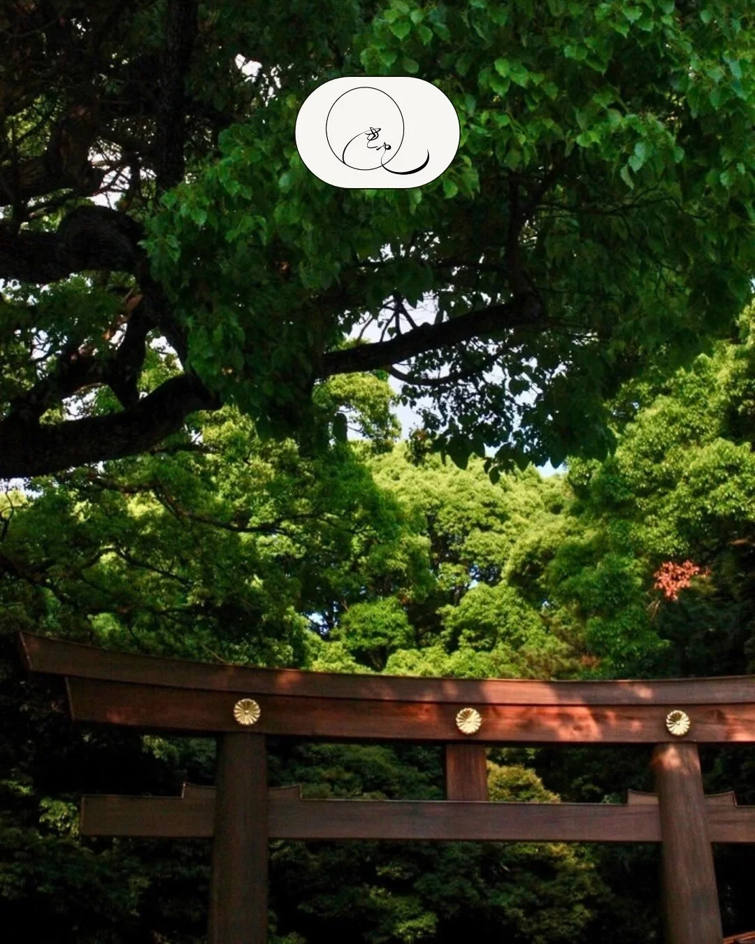 Meet one of our Japan DMC partners, Q Inc