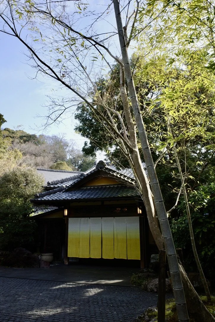 Wooden building with a tiled roof and a gradient curtain at the entrance, surrounded by greenery.