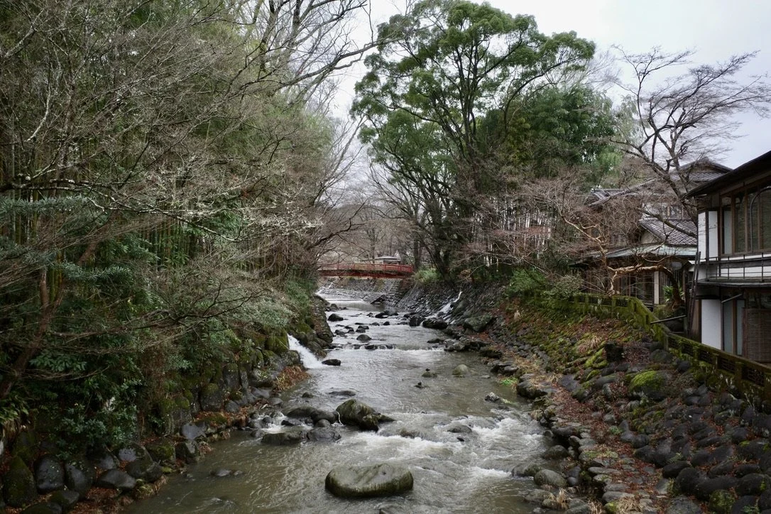 Hot spring surrounded by nature.