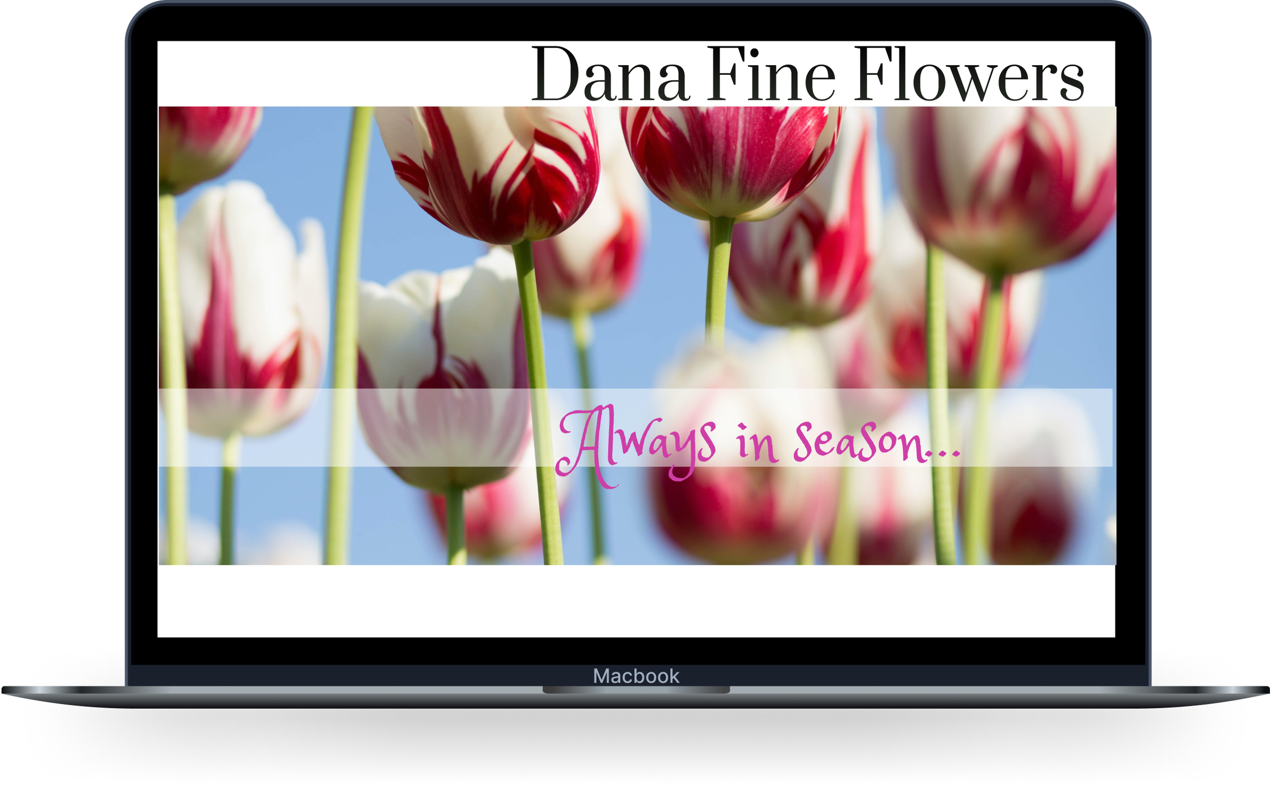 A MacBook displaying a floral advertisement for Dana Fine Flowers with pink and white tulips and the text 'Always in Season...'