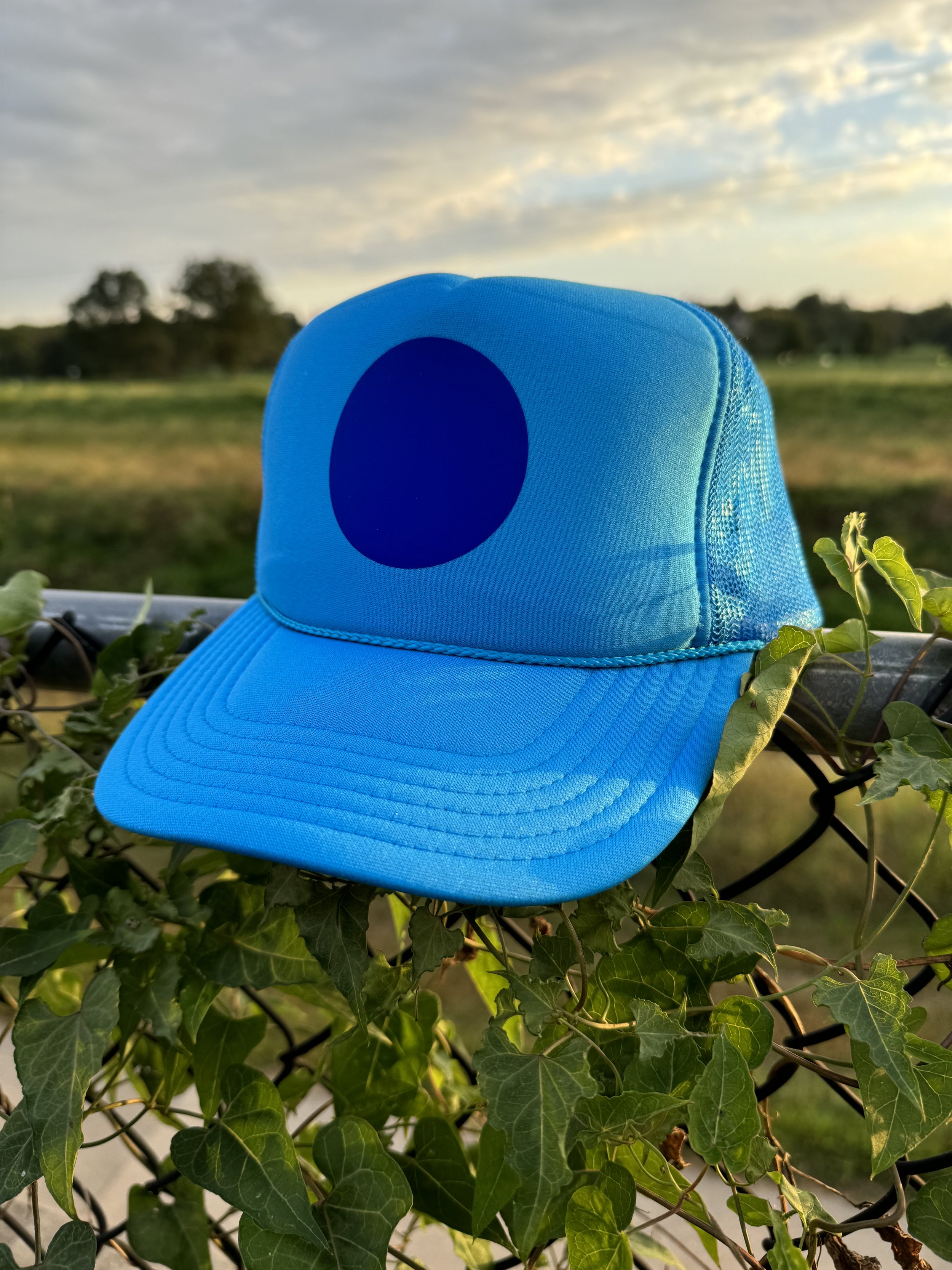 Blue Dot Hat