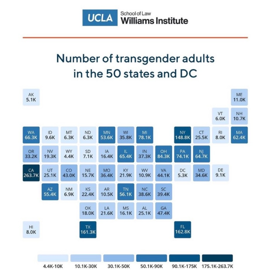 The Map Is Not the Safety: Why Trans Clients Need More Than a Care Plan