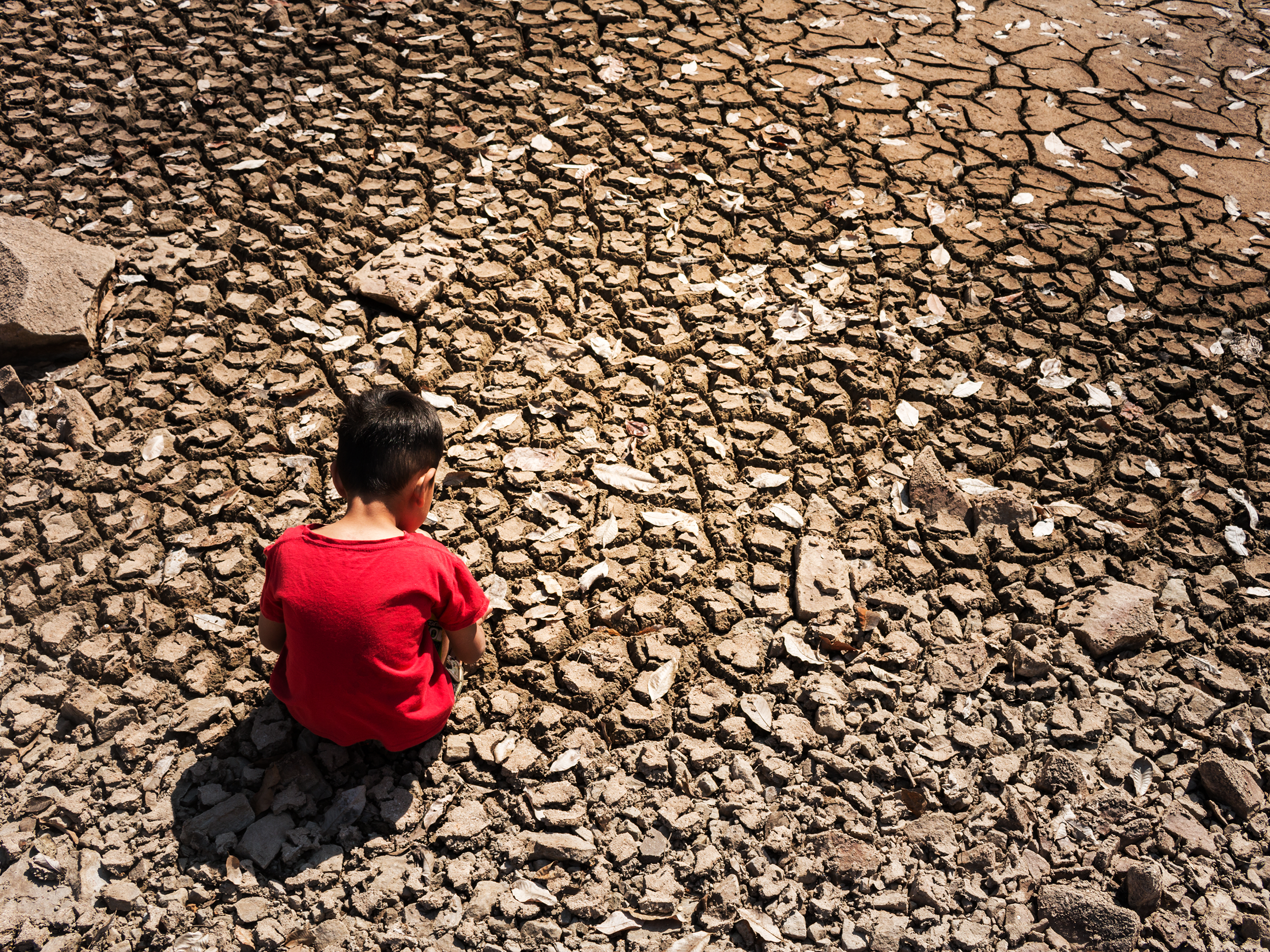 Conference Report and Recordings are online!