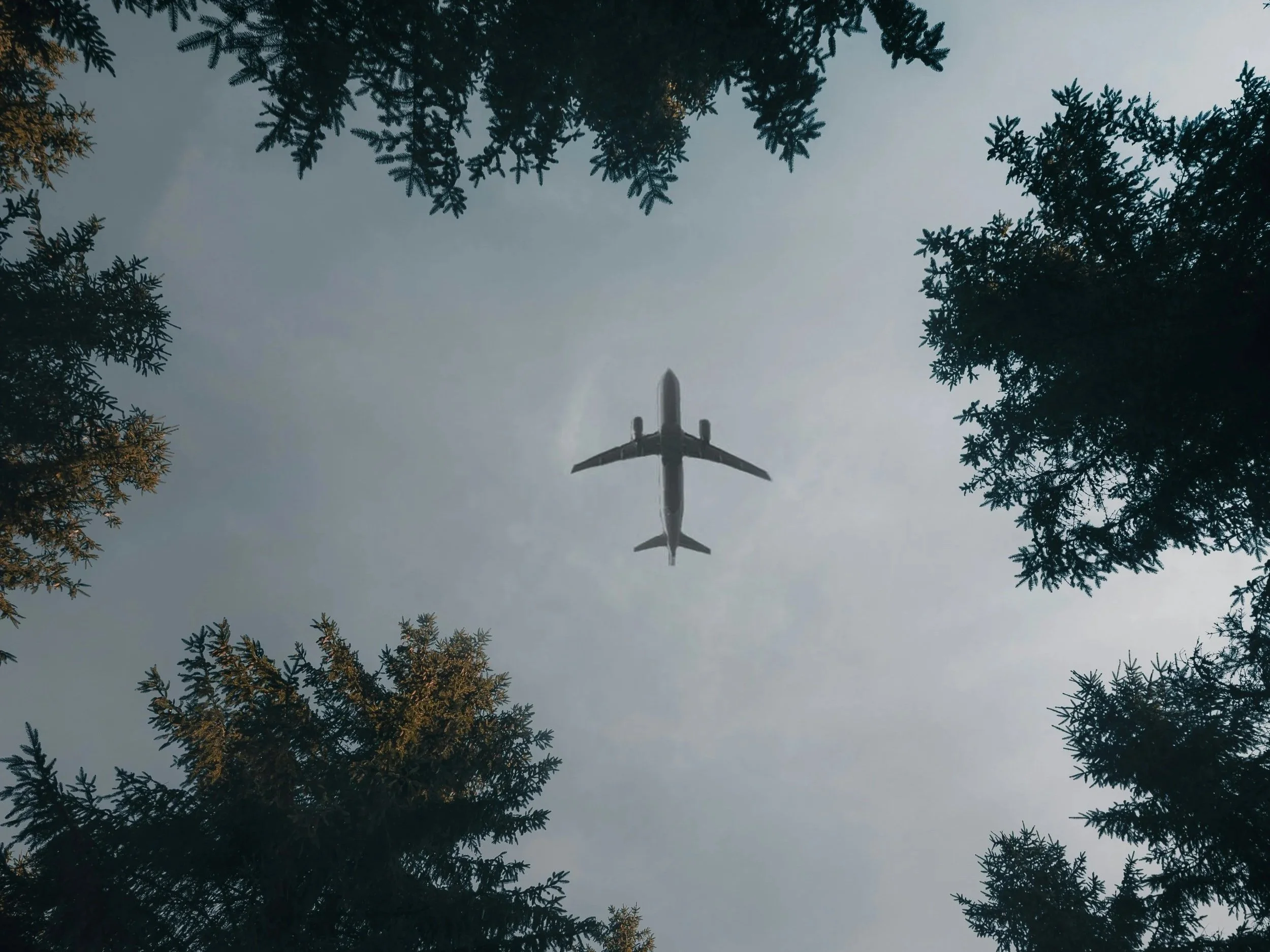 Amicus Brief on Carbon Markets to the African Court of Human and Peoples’ Rights