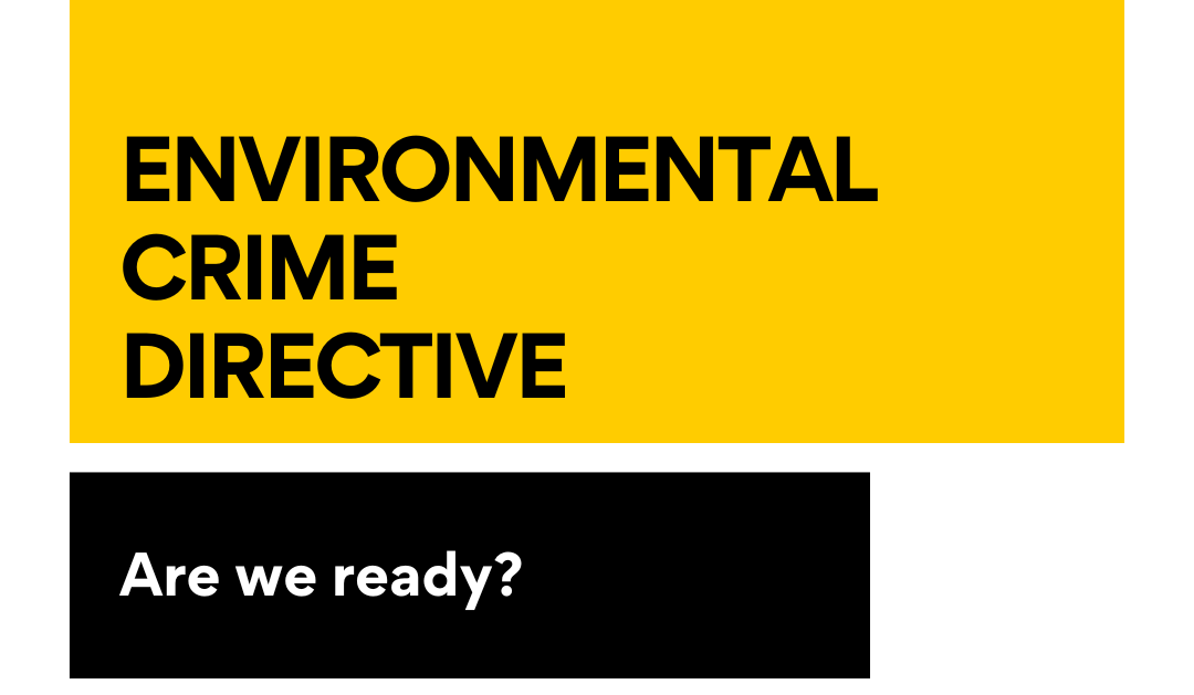 EU Environmental Crime Directive Deadline: Which States Are Ready?&nbsp;