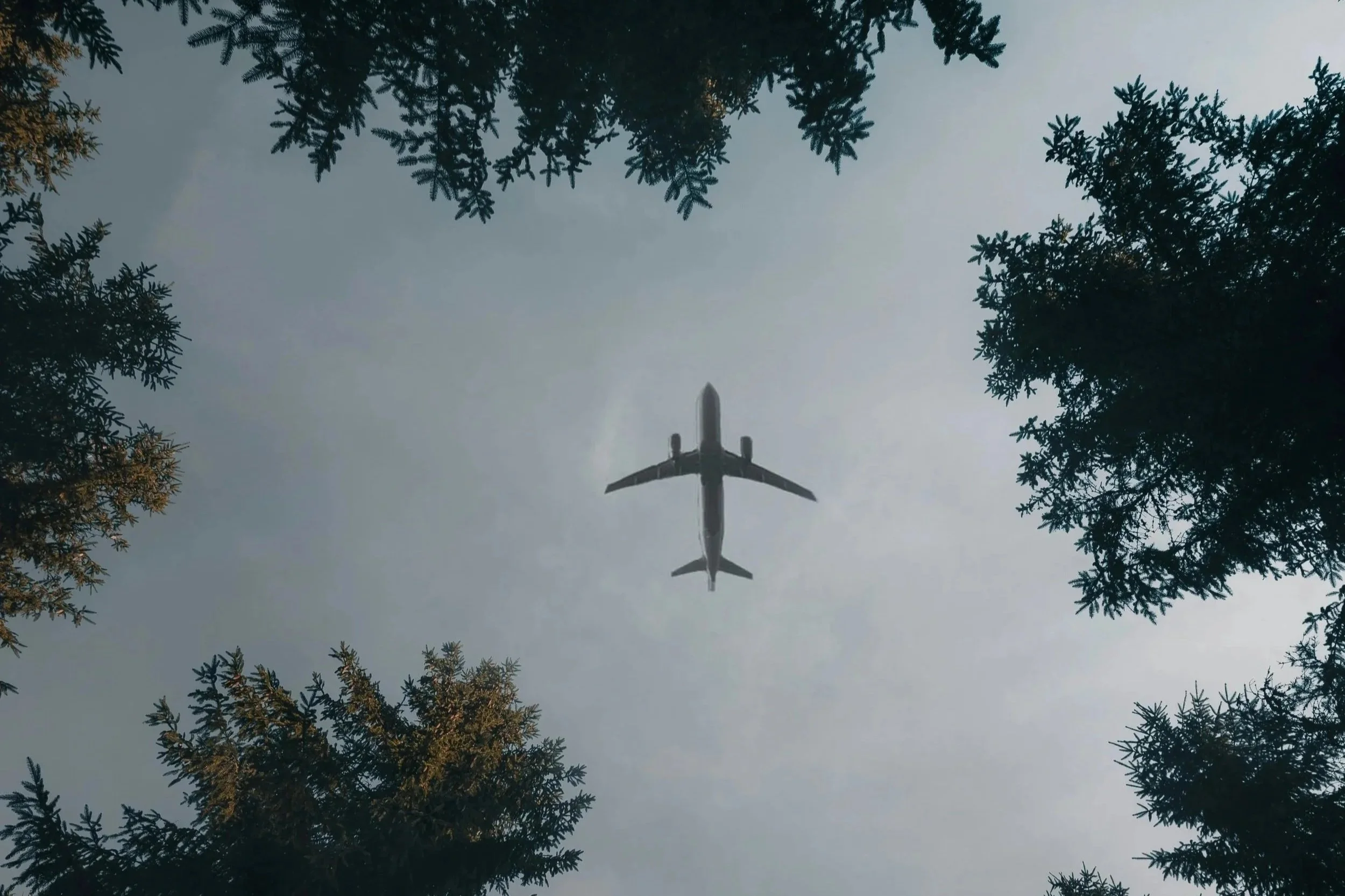 photo of an airplane flying over a forest
